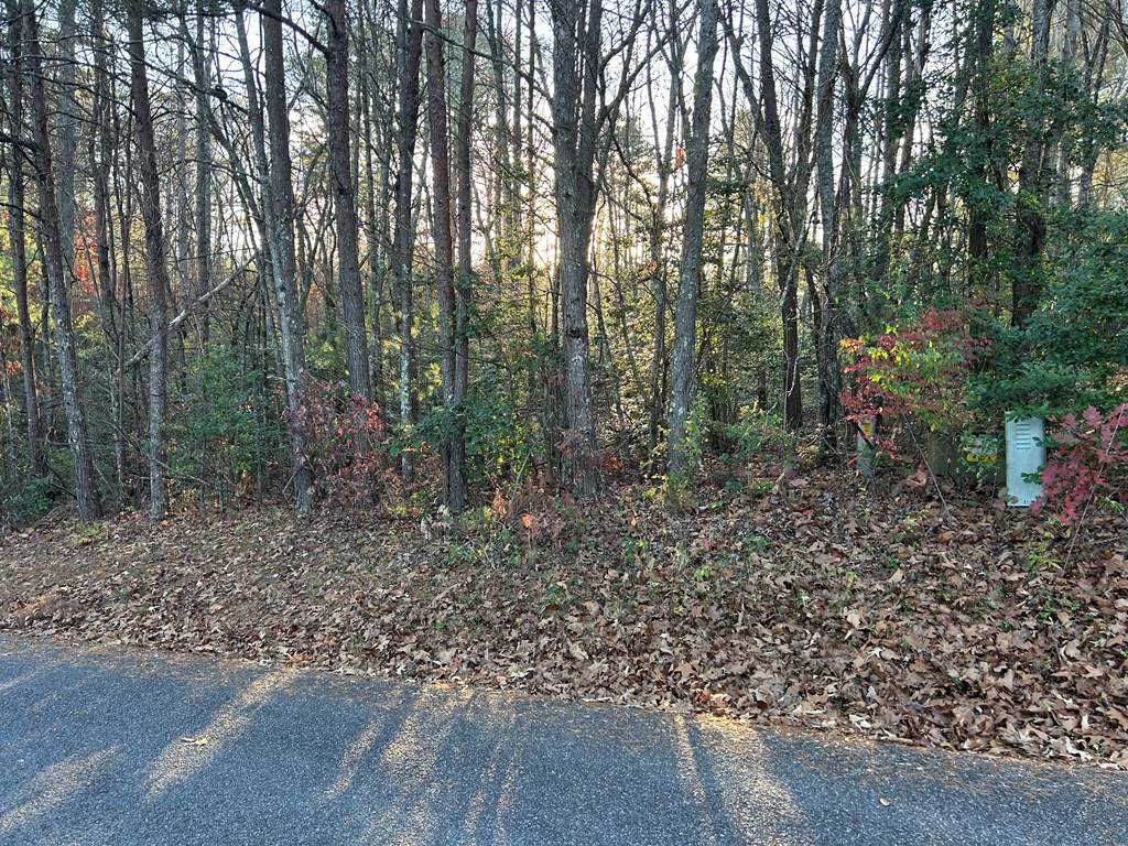 Blairsville, GA 30512,Lot 5 Tombstone Drive