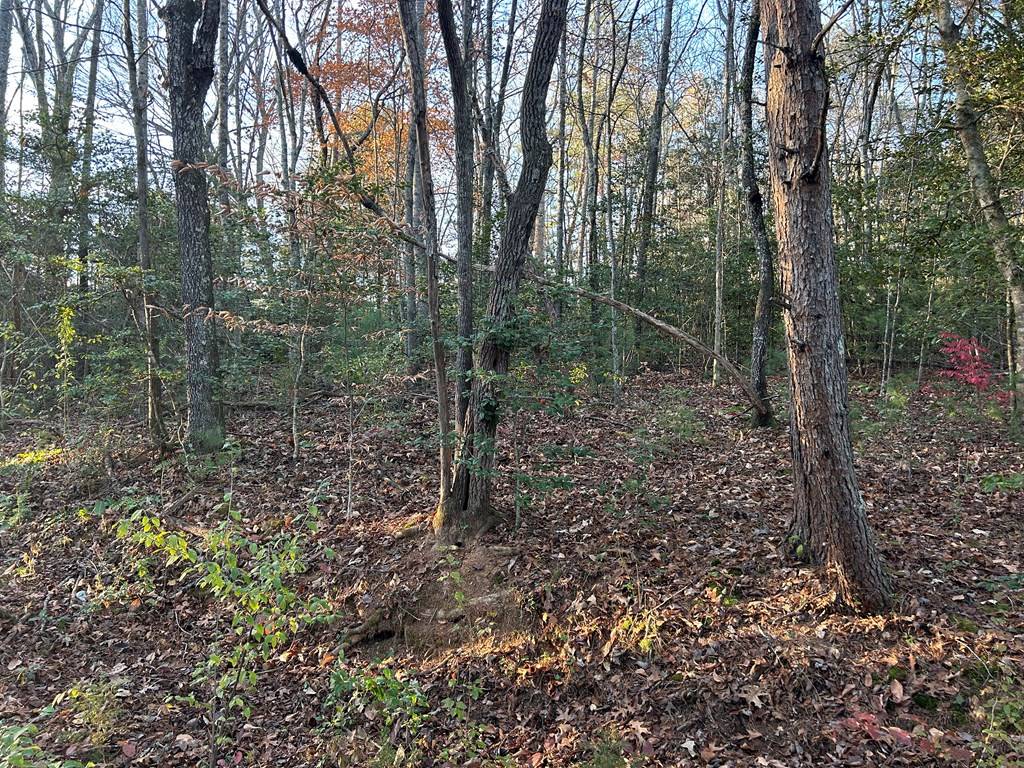 Blairsville, GA 30512,Lot 7 Tombstone Drive