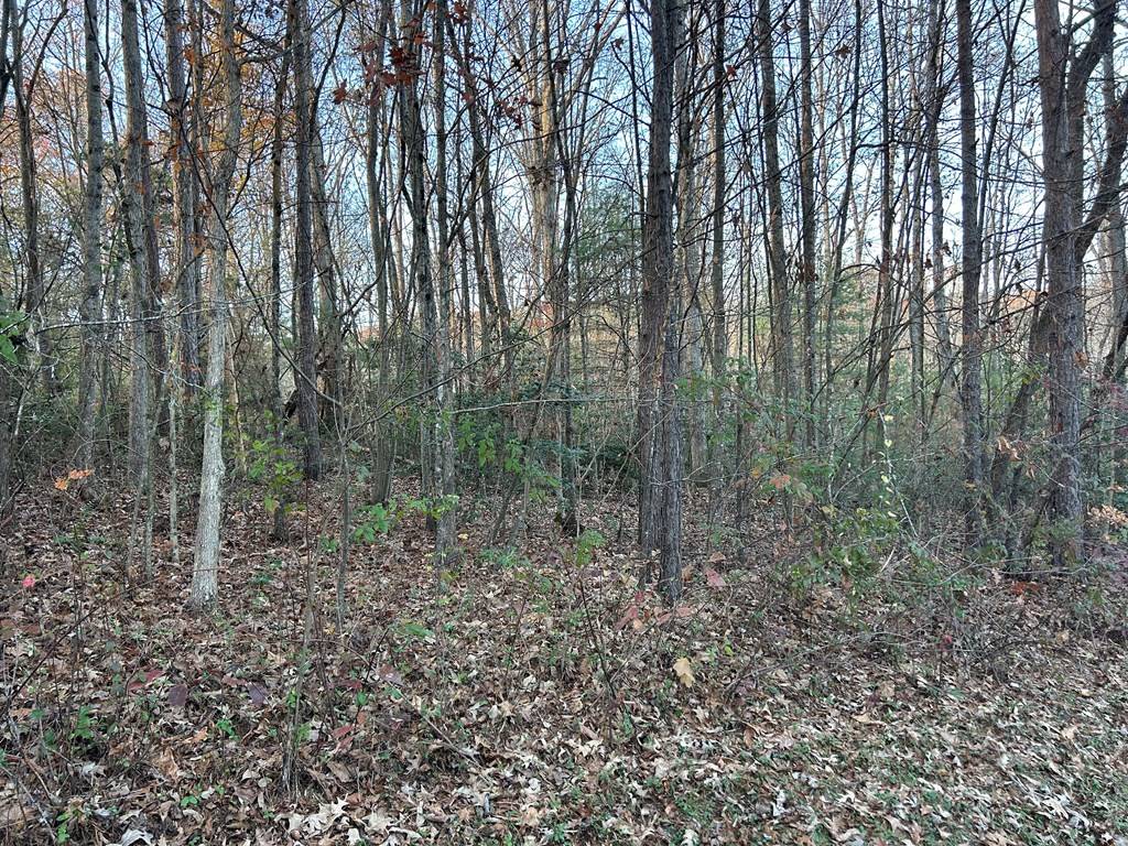 Blairsville, GA 30512,Lot 11 Tombstone Drive