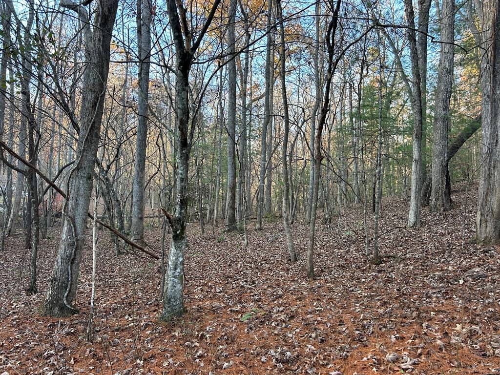 Blairsville, GA 30512,Lot 15 Tombstone Drive