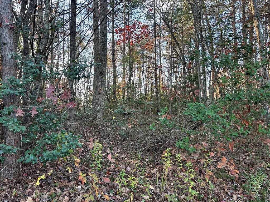 Blairsville, GA 30512,Lot 9 Tombstone Drive