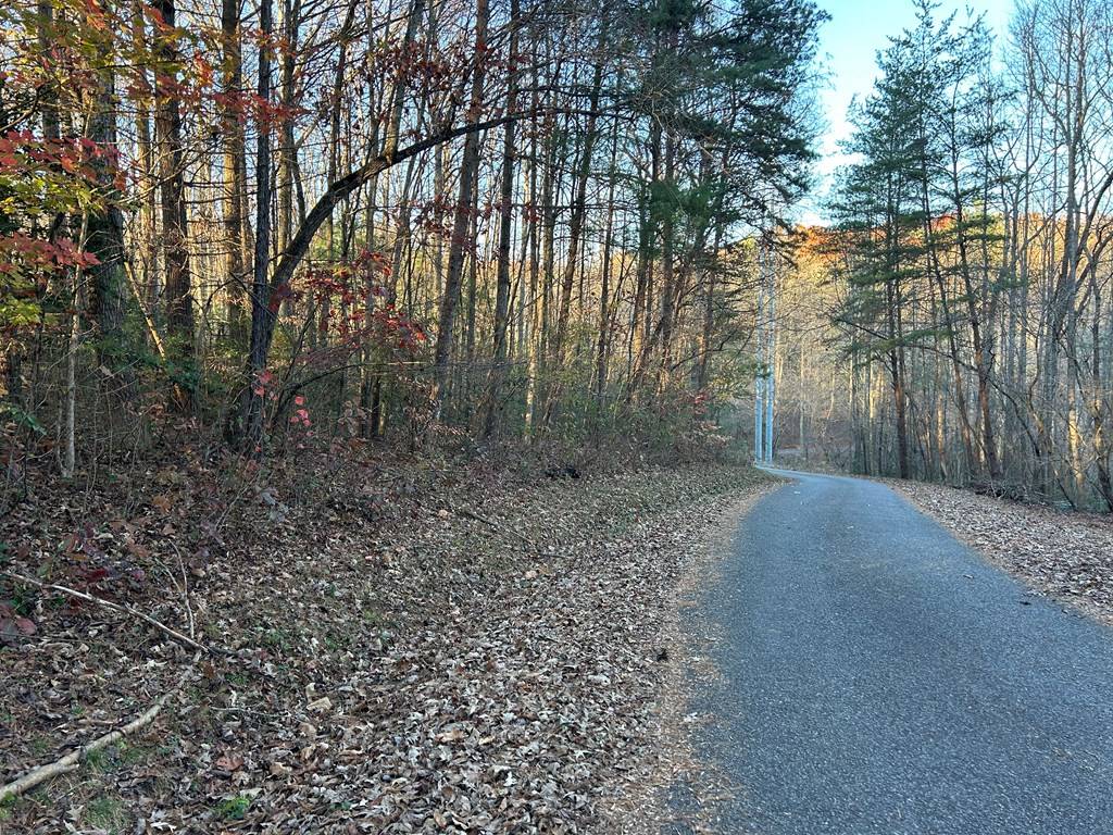 Blairsville, GA 30512,Lot 9 Tombstone Drive