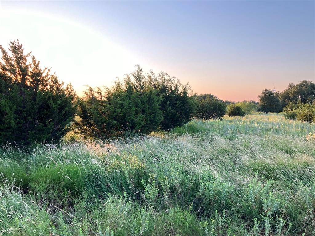 Desdemona, TX 76445,Tract 19- CR 493