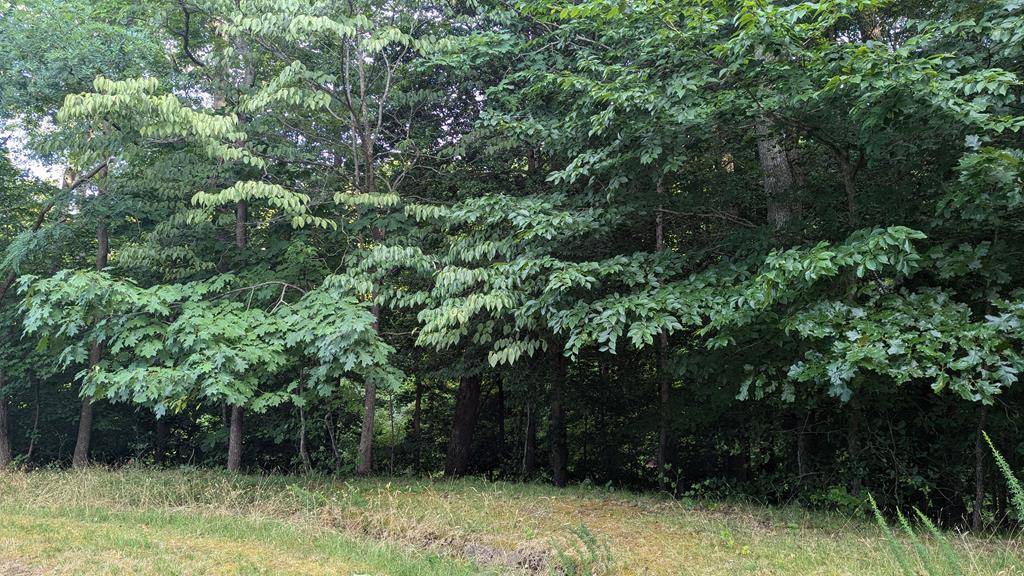 Montross, VA 22520,Lot 150 Shirley LN