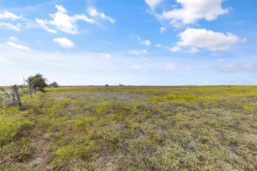 Hico, TX 76457,TBD County Road 210