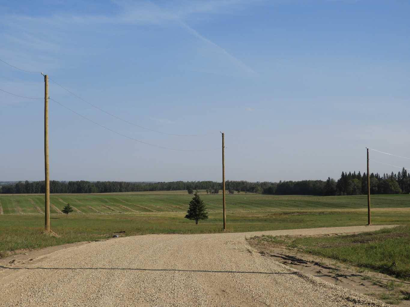 Rural Ponoka County, AB T0C 2J0,Near Ponoka