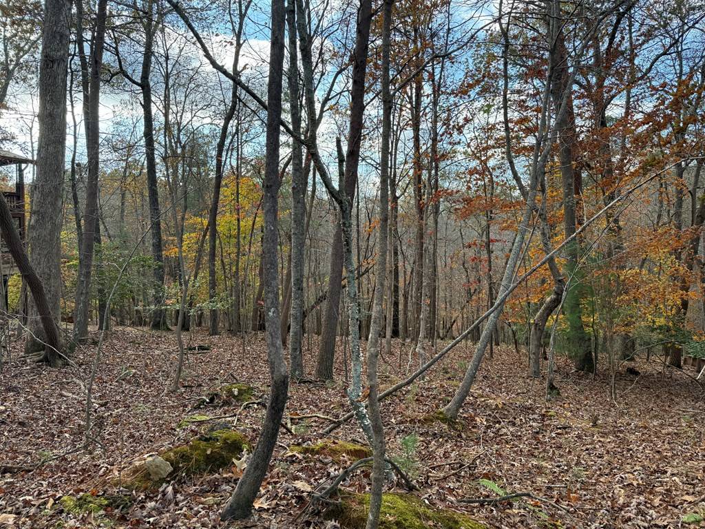 Ellijay, GA 30540,Lot 99 Acella Court