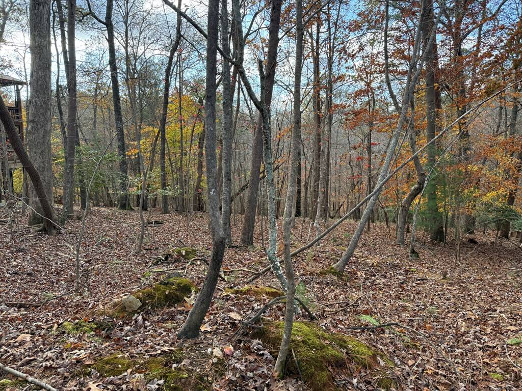 Ellijay, GA 30540,Lot 99 Acella Court