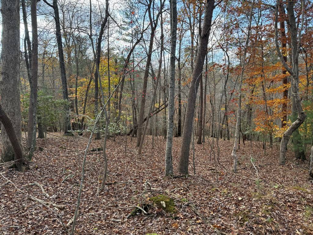 Ellijay, GA 30540,Lot 99 Acella Court