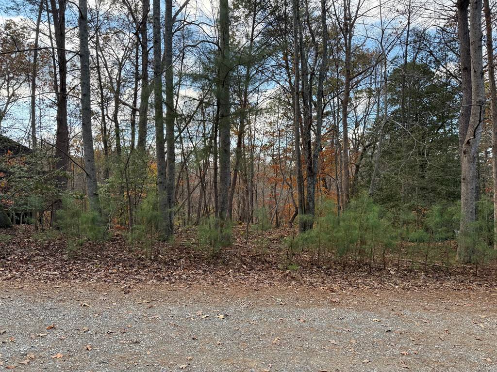 Ellijay, GA 30540,Lot 99 Acella Court