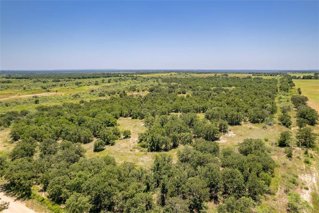 Cross Plains, TX 76443,TBD County Road 556