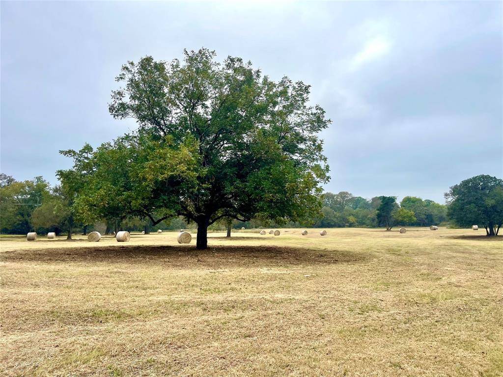 Covington, TX 76636,TBD 13.865 Acres Gathings Avenue