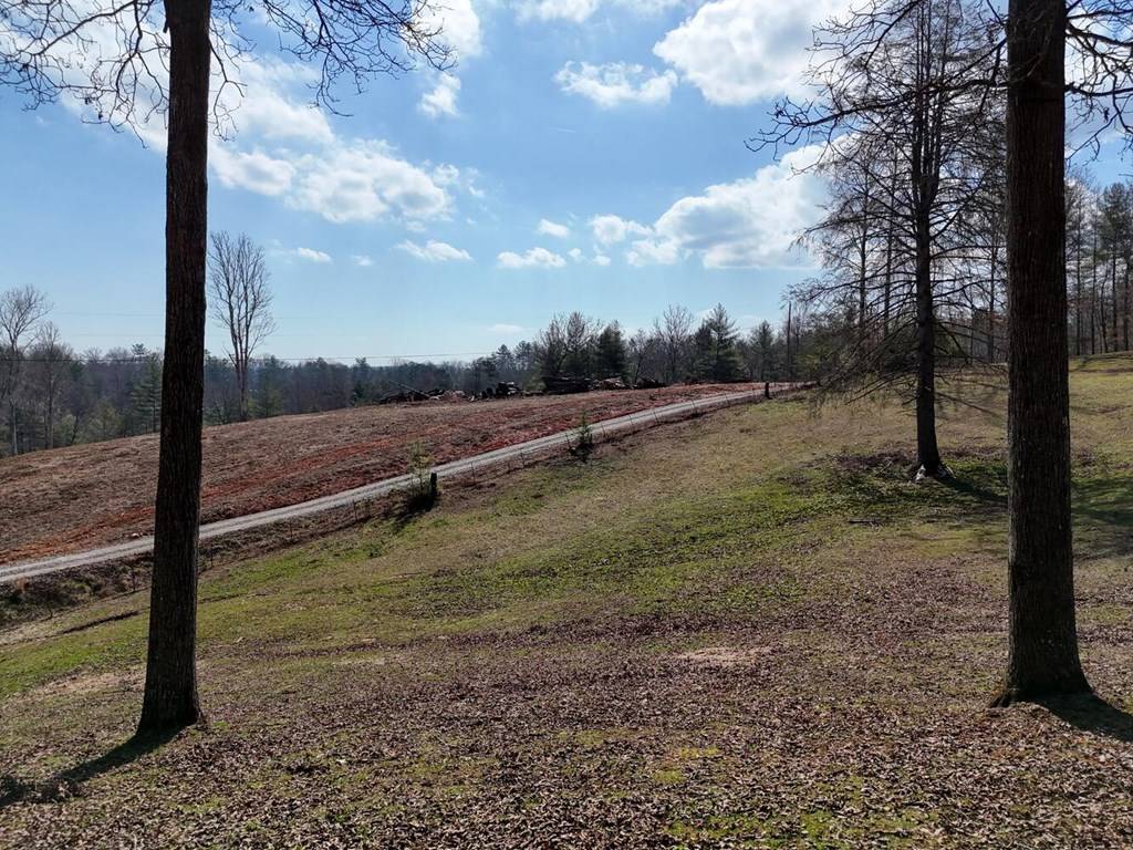 Blue Ridge, GA 30513,Lot B8 Bent Wood Lane