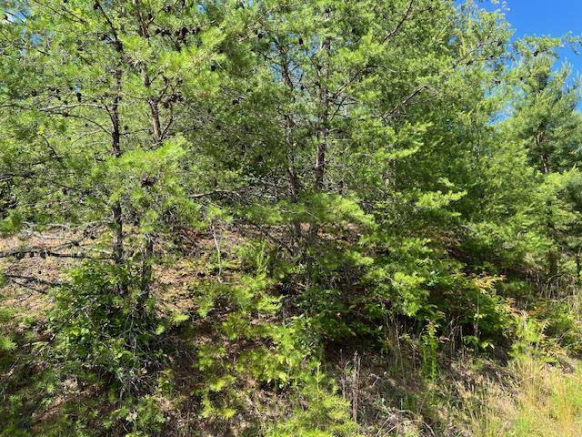 Hayesville, NC 20894,Lot 12 Shelton Springs Drive