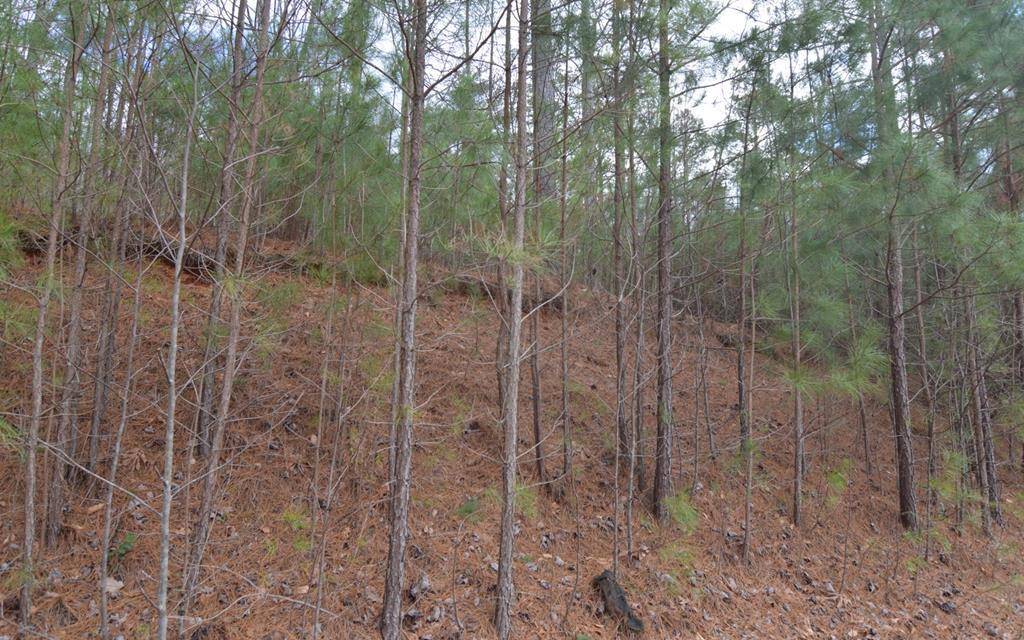 Young Harris, GA 30582,Lot 64 Meadow Brooke