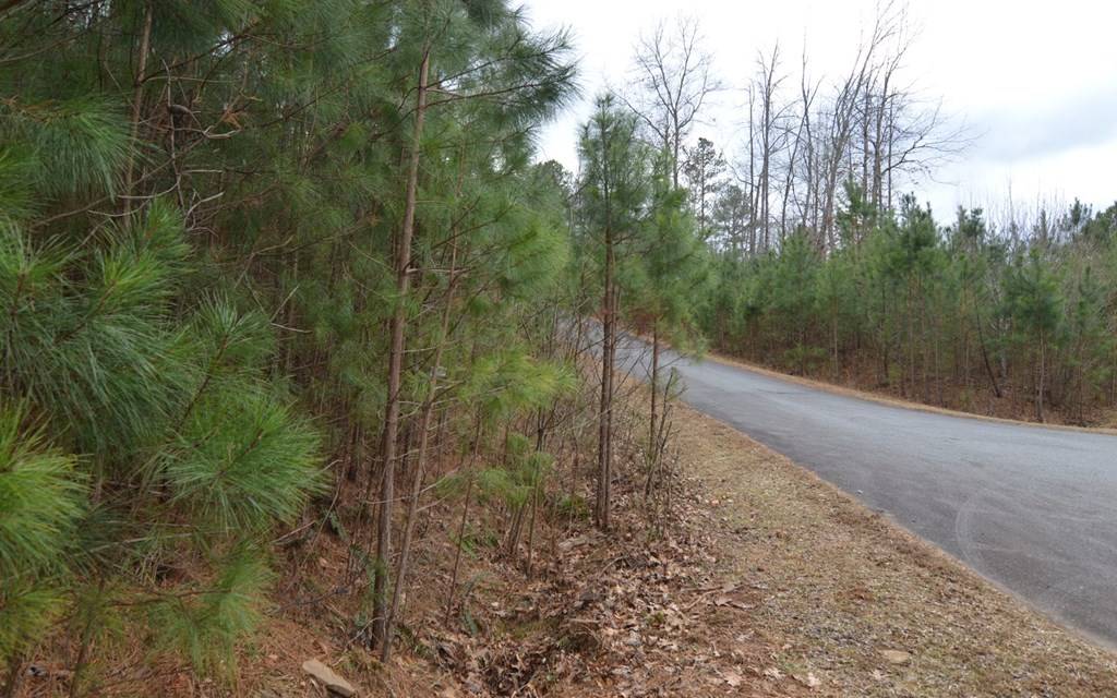 Young Harris, GA 30582,Lot 64 Meadow Brooke