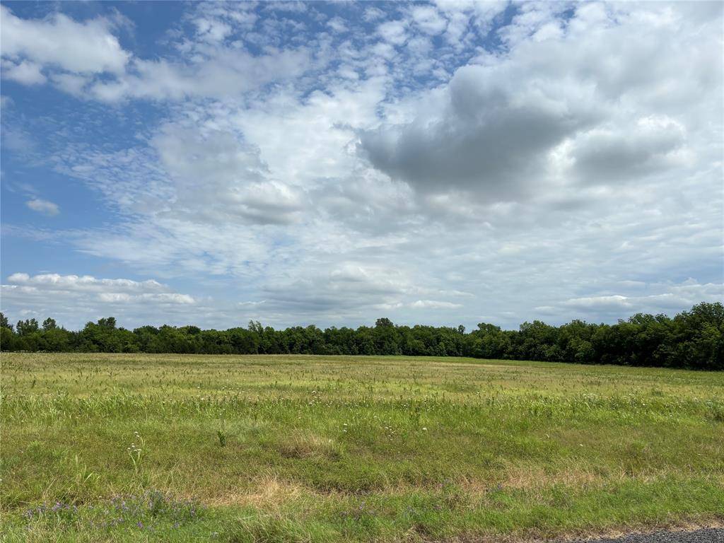 Honey Grove, TX 75446,24900 Tract 2 County Line Road