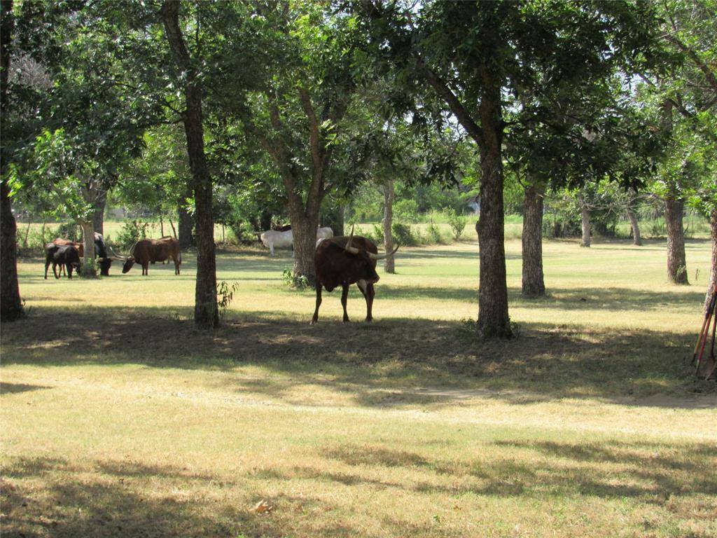 Bangs, TX 76823,000 TBD Street