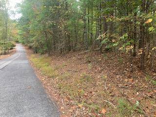 Blairsville, GA 30512,Lot 4 Cane Creek Ridge