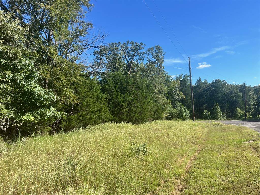 Larue, TX 75770,Lot 343 Fallow Run