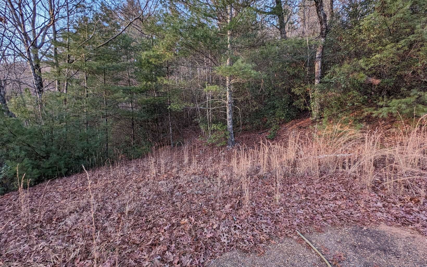 Hiawassee, GA 30546,LOT25 Whisper Woods Road