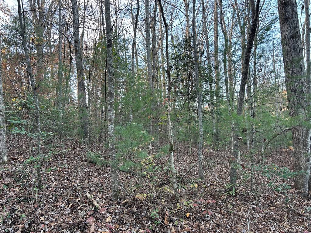 Blairsville, GA 30512,Lot 12 Tombstone Drive