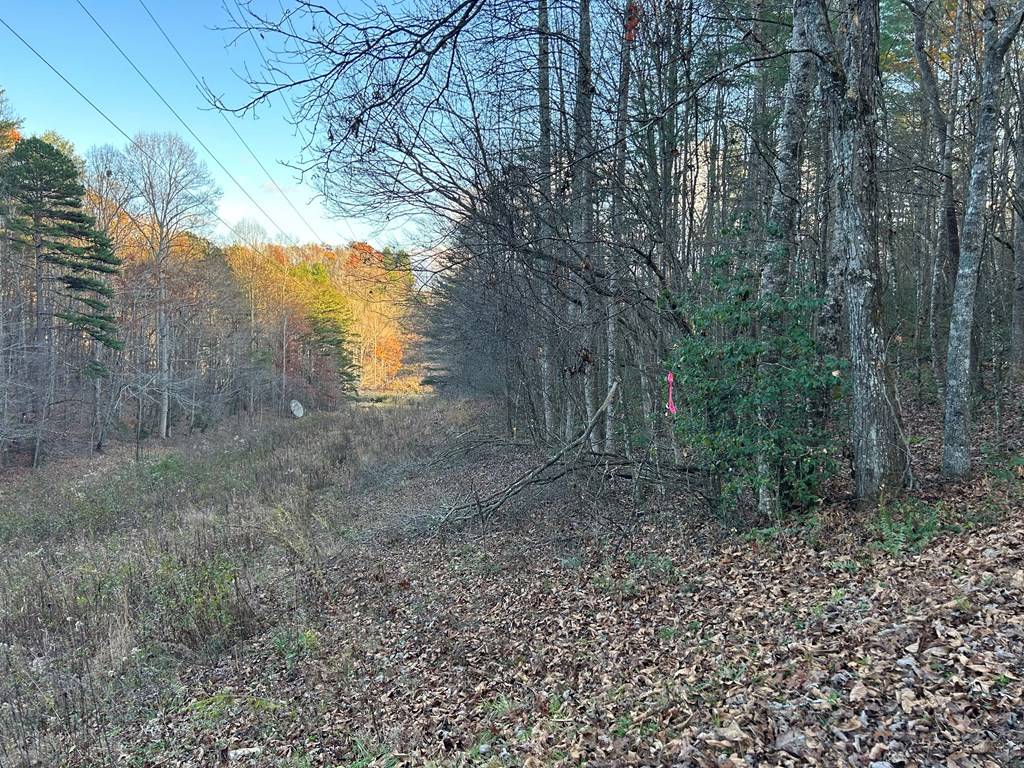 Blairsville, GA 30512,Lot 12 Tombstone Drive