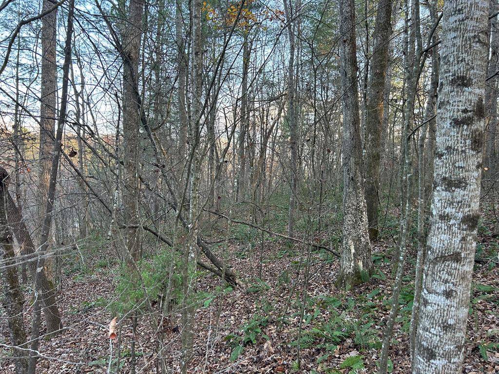 Blairsville, GA 30512,Lot 12 Tombstone Drive