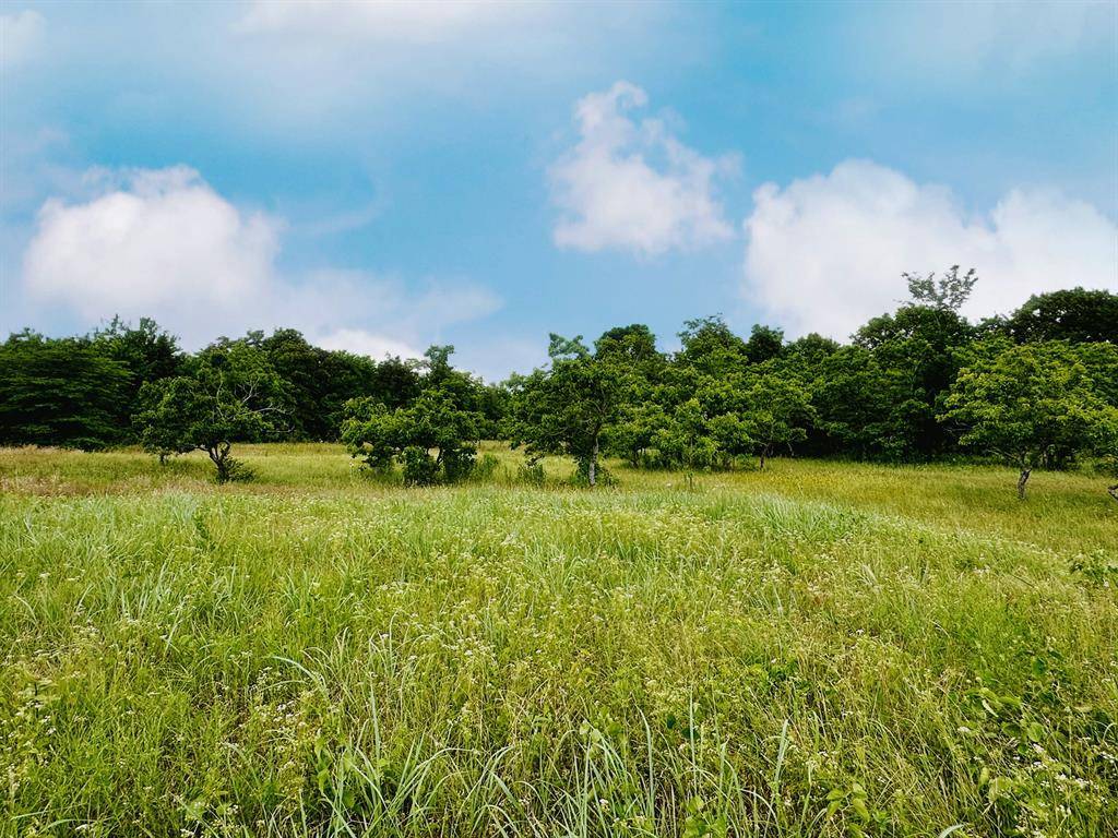 Gainesville, TX 76240,Lot 12 Private Road 4000