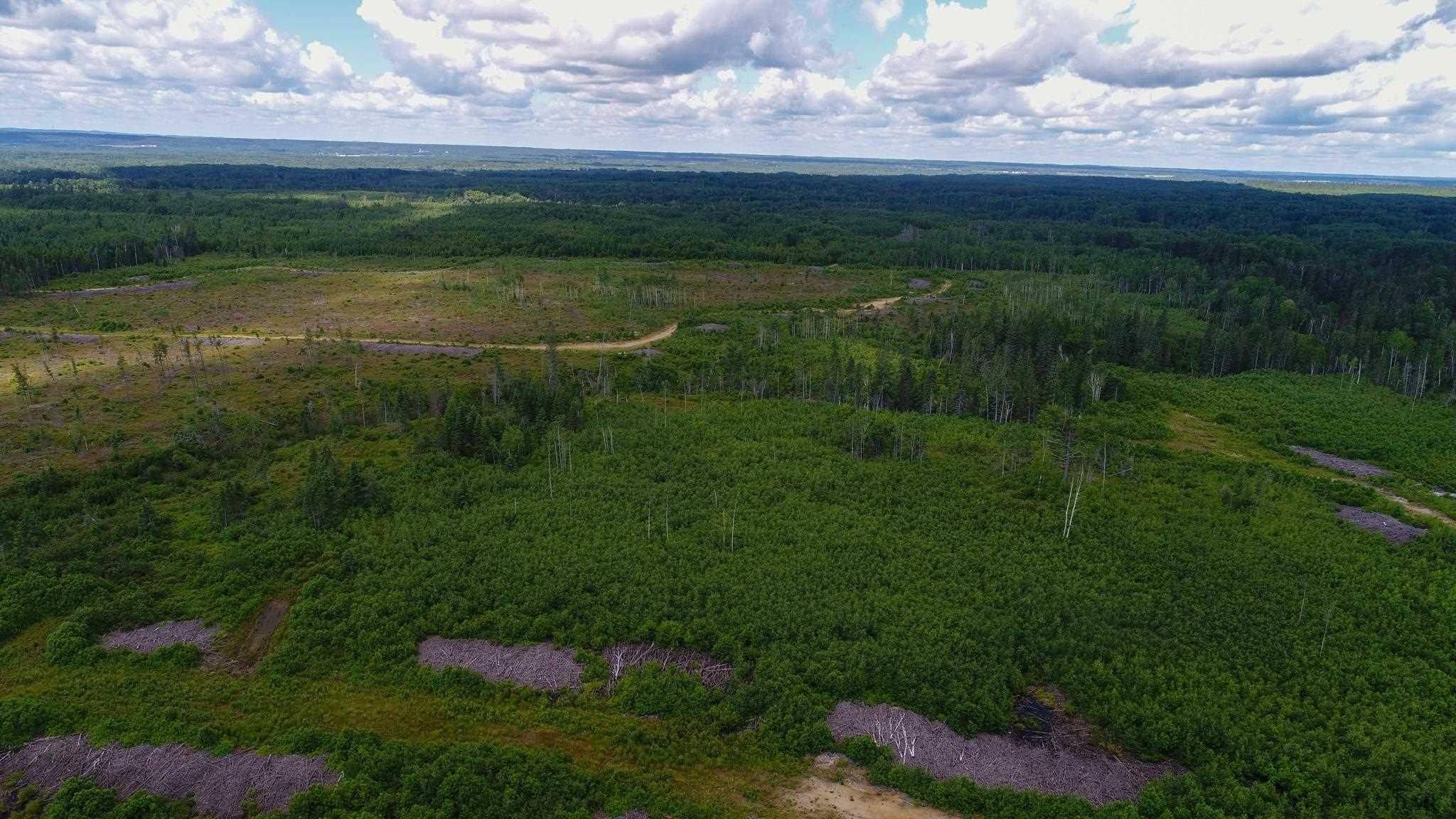 Timiskaming Remote Area, ON P0J 1H0,Lot 5 Con 3 N/A