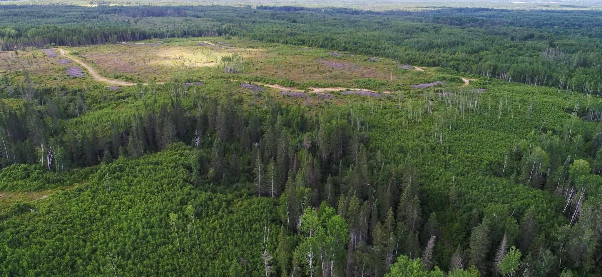 Timiskaming Remote Area, ON P0J 1H0,Lot 5 Con 3 N/A