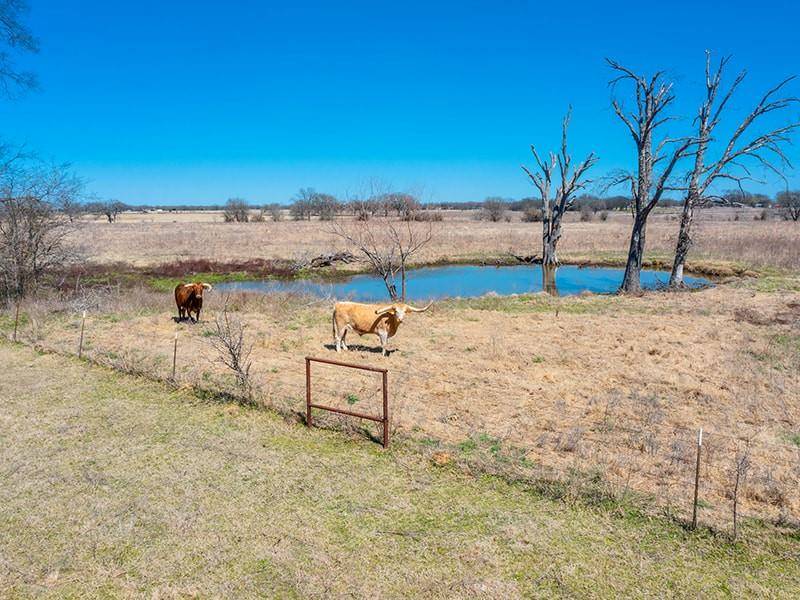 Kemp, TX 75143,TBD County Road 2404