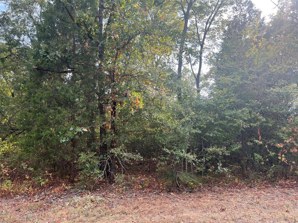 Log Cabin, TX 75148,Lot 43 Daniel Boone Lane