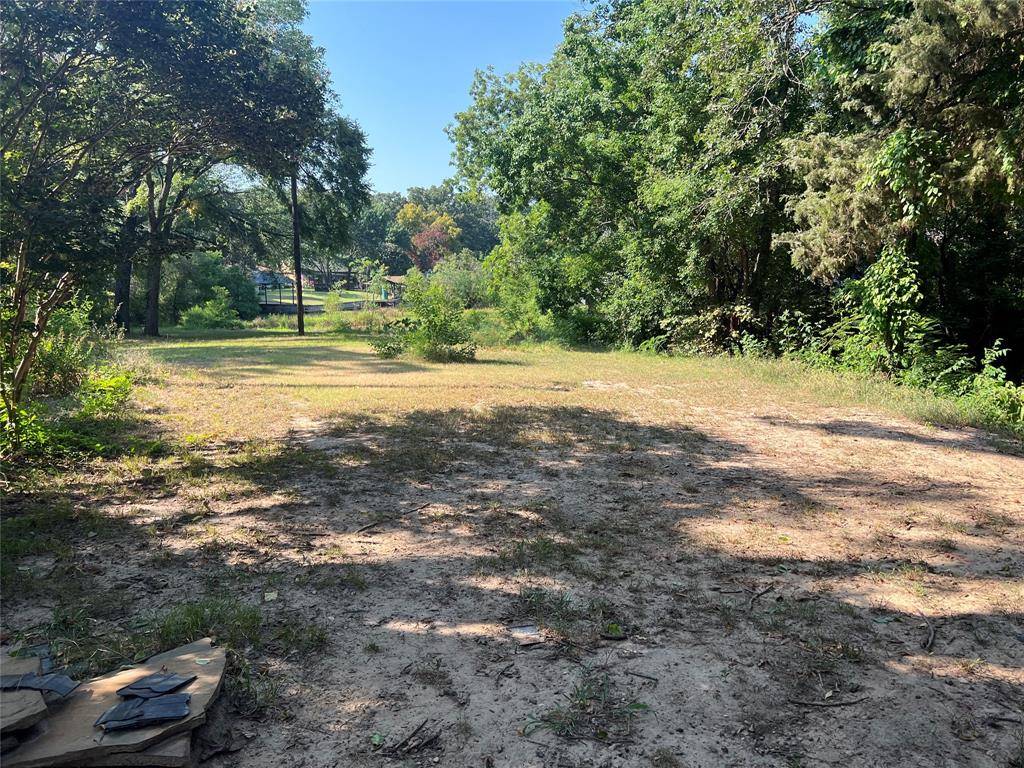 Payne Springs, TX 75156,Lot 304 & 305 Hidalgo Loop