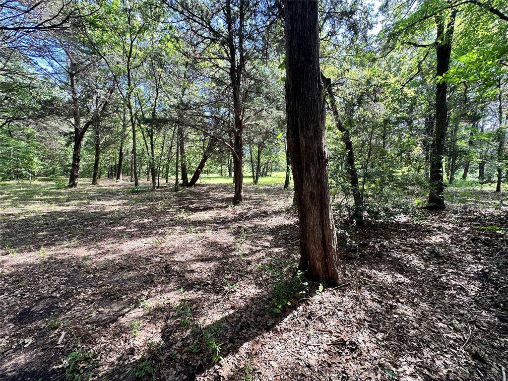 Kerens, TX 75144,Lot 6 Sweetwater Trail