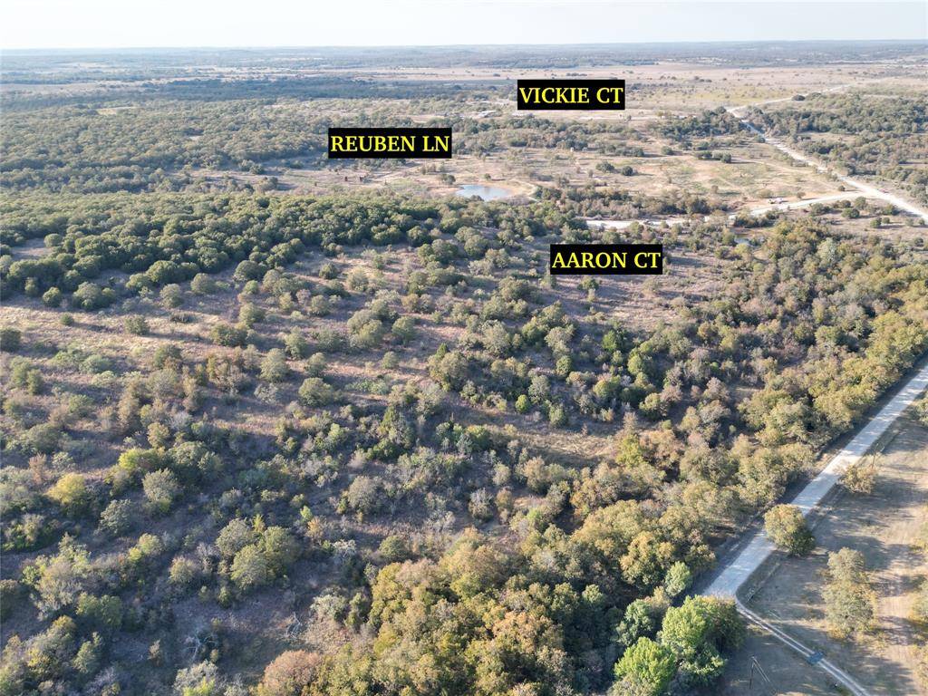 Chico, TX 76431,Lot 45 Aaron Court