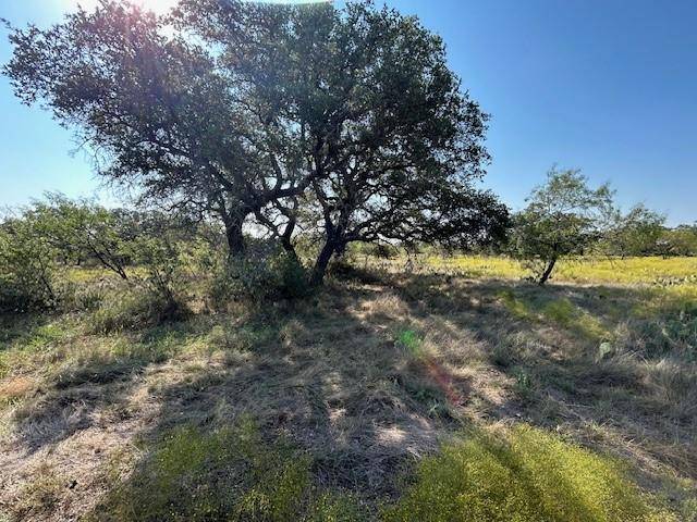 Richland Springs, TX 76871,TBD CR 204