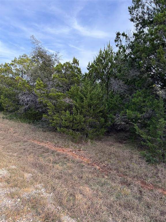 Whitney, TX 76692,32049 Dove Trail