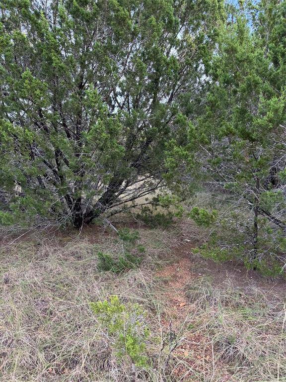 Whitney, TX 76692,32049 Dove Trail