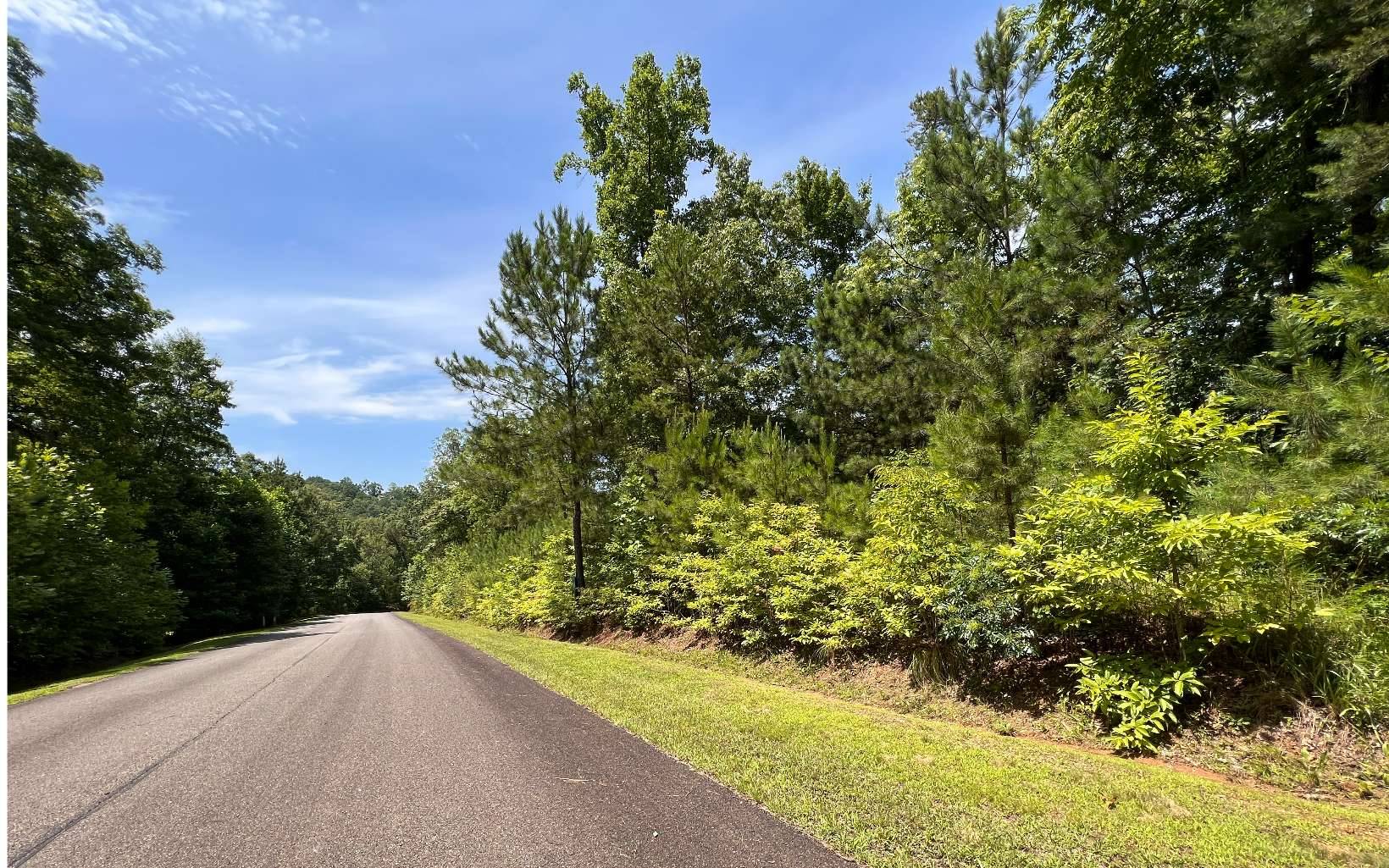 Ellijay, GA 30540,LT166 Harris Creek Drive