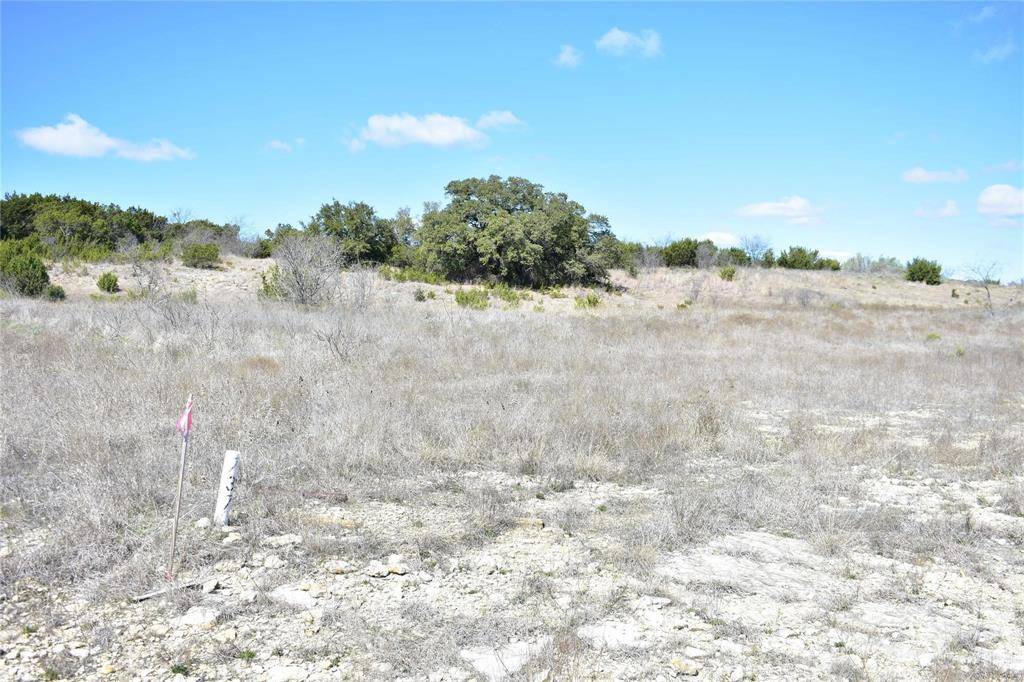 Bluff Dale, TX 76433,TBD Beacon Lake Drive #lot 737