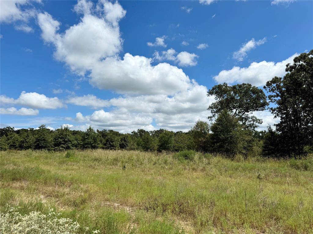 Alba, TX 75410,LOT 21 Rains County Rd 2610