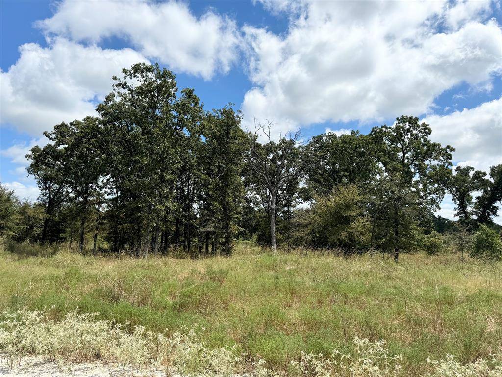 Alba, TX 75410,LOT 21 Rains County Rd 2610