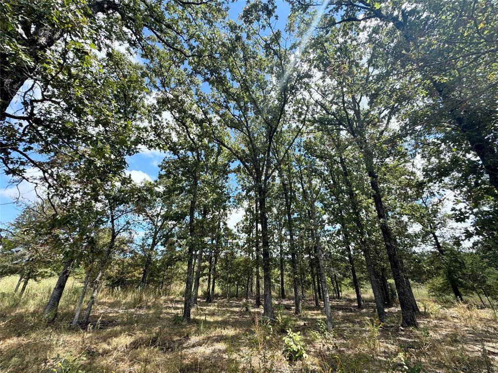 Alba, TX 75410,LOT 21 Rains County Rd 2610