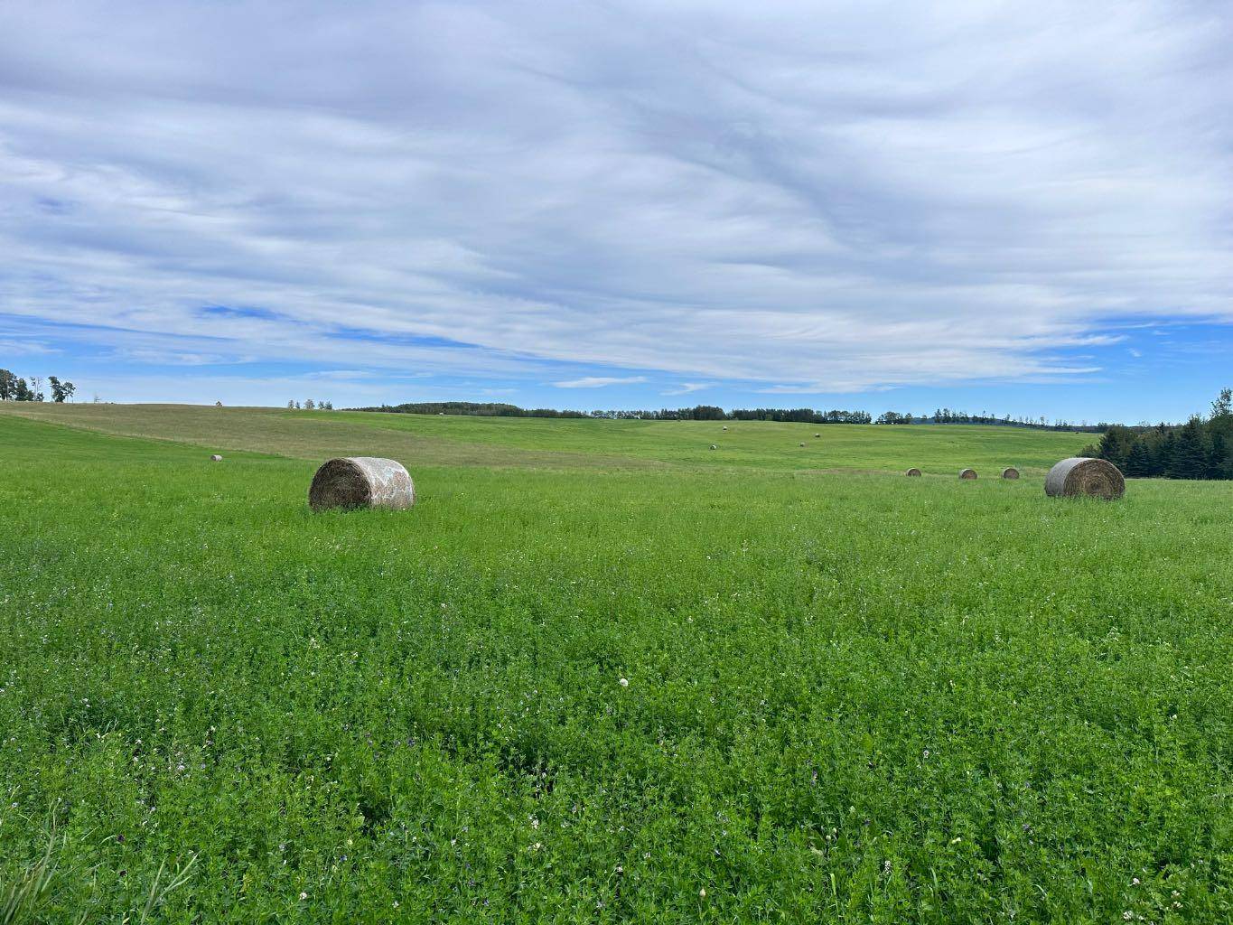 Rural Clearwater County, AB T4T 2A2,On Township Road 413