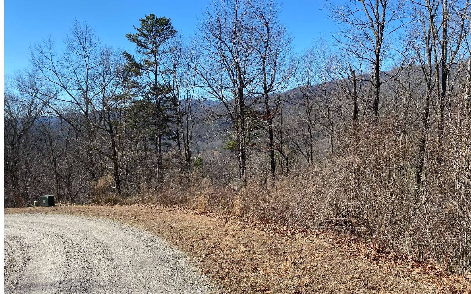 Marble, NC 28905,LOT42 Valley River Walk