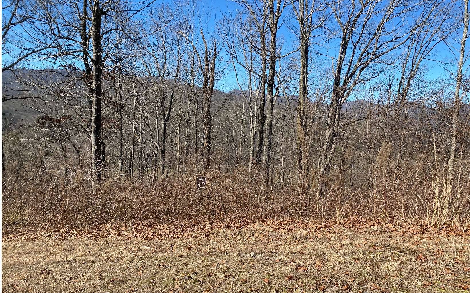 Marble, NC 28905,LOT42 Valley River Walk