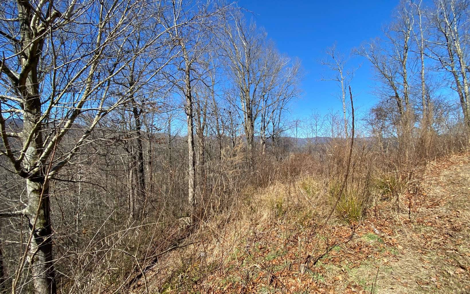 Marble, NC 28905,LOT42 Valley River Walk