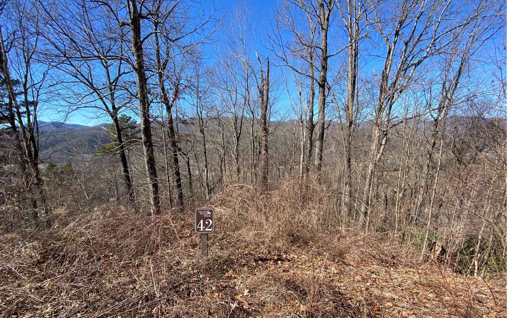 Marble, NC 28905,LOT42 Valley River Walk