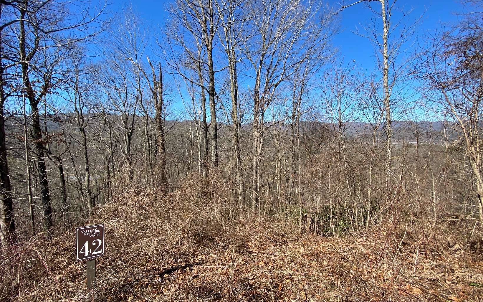 Marble, NC 28905,LOT42 Valley River Walk